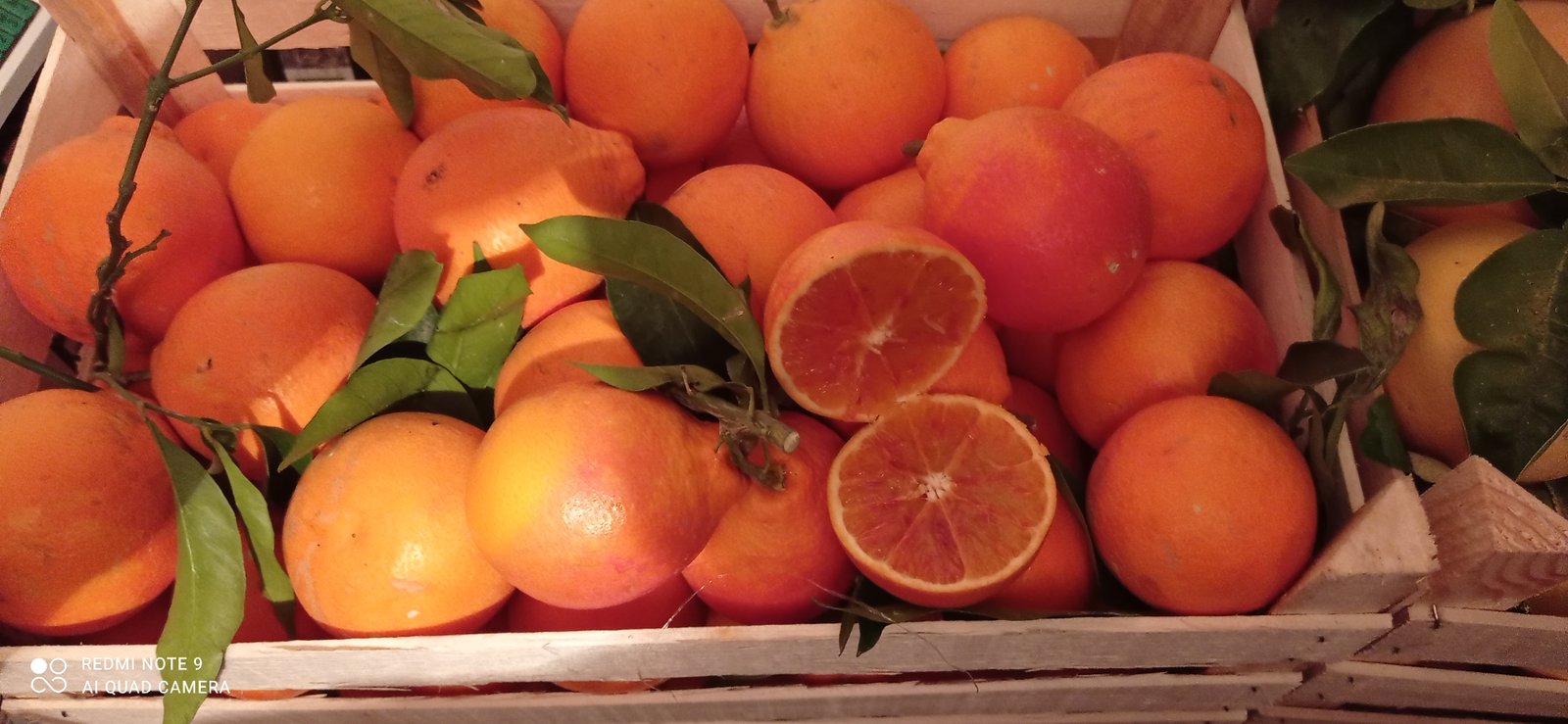 Frisch geerntete Orangen in einer Kiste